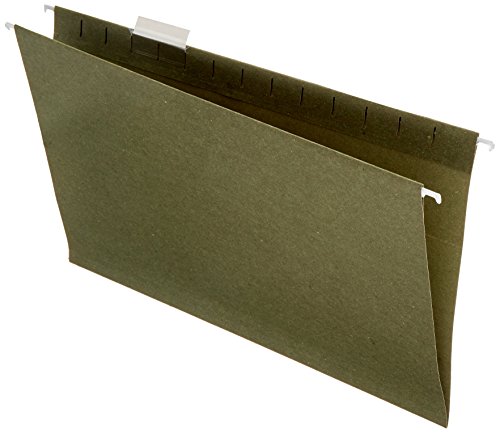 1 AmazonBasics+Hanging+File+Folders+25+Pack