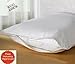 Premium BED Bugs Pillow Protector a Set of 2 Pillow Protectors - Lifetime Warranty (king (21