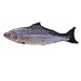 KTCLCATF Coolfm Catnip Toys Simulation Plush, Salmon Fish Shape Doll, Interactive Pets Pillow Chew Bite Supplies for Cat/Kitty