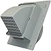 Speedi-Products EX-WCHD 06 6-Inch Diameter Heavy Duty Wall Cap, Gray primary