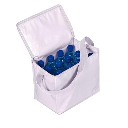 Nevera de Plástico Aislante para Picnics - Tamaño Grande ...