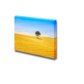 Tuscany Country Landscape Olive Tree and Green Fields Montalcino Italy Europe - Canvas Art Wall Art - 12" x 18"