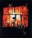 Walking Dead The Two Fire Logo Adult T-Shirt (Small) Black