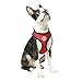 Gooby - Soft Mesh Harness, Small Dog Harness with Breathable Mesh, Red, Large