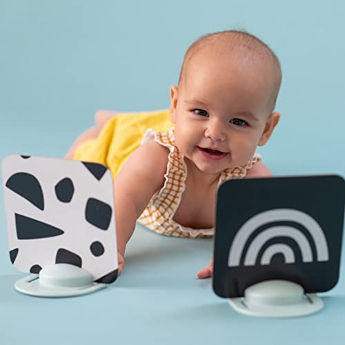 Taf Toys High Contrast Baby Flash Cards & Baby Safe Mirror for Tummy