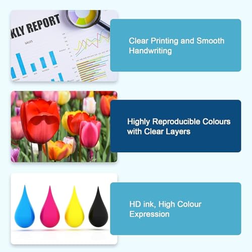 colorfly 364XL Compatible Ink Cartridges for HP 364 XL for HP Photosmart 5520 6520 5510 6510 7510 7520 5514 5515 5522 5524 for Deskjet 3070A 3520 for Officejet 4620 4620 622(1) 0 Packs)