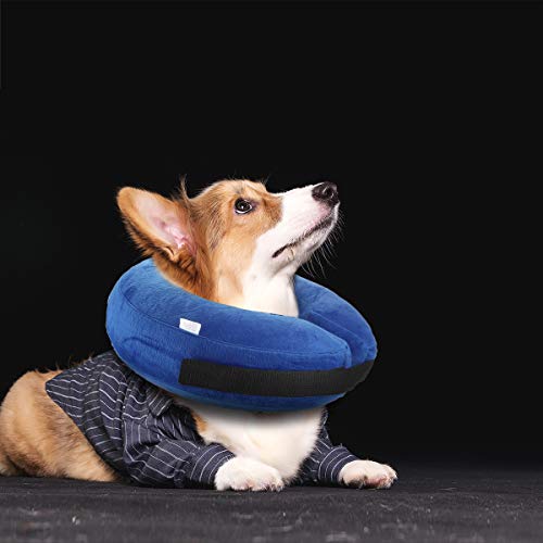 Top 10 best cone for small dogs Which is the best one in 2019