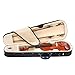 Cecilio 3/4 CVN-200 Rosewood Fitted Solid Wood Violin