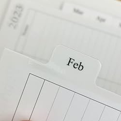 newestor 2026 Weekly & Monthly Planner