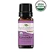 Plant Therapy Lavender Organic Essential Oil 100% Pure, USDA Certified Organic, Undiluted, Natural Aromatherapy, Therapeutic Grade 10 mL (1/3 oz)