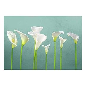 Arum Lilies with Teal Textured Background - Wall Mural, Removable Sticker, Home Decor - 66x96 inches