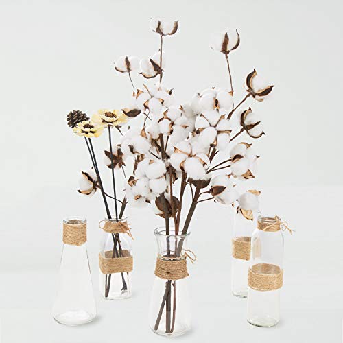 JOYPEA Cotton Stems - 6 Pack 10 Balls Per Stem - 23 Inch Farmhouse Display Filler-Foral Decoration - Thumbnail 3