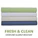 Cosy House Collection Premium Rayon Derived from Bamboo Pillowcase Set of 2 - Ultra Soft, Cooling & Breathable Bedding (Standard/Queen, White)