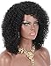 Kalyss Black Curly Synthetic Hair Wig Afro Kinky Curly Wigs for Black Women Curved L Part Natural Looking Hair Wigs for Womens Daily Wear Hairpiece