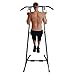 Stamina Rotating Pull Up Handles