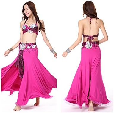 C803 Belly Dance Costume Outfit Set Bra Belt Carnival Bollywood Professional Exotic Performance Costumes 2PCS (Bra D Cup+Belt90cm/35.5'', Dark Pink)