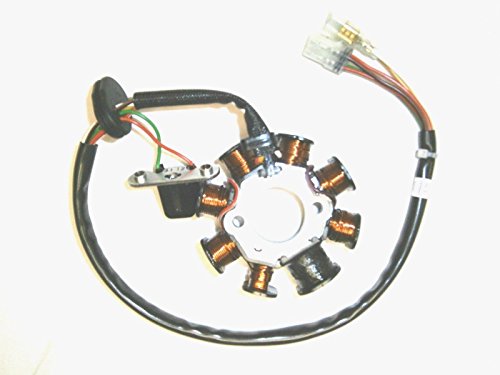 Brand New Genuine Ktm Stator 144 Sx 250 Xc Xc Desertcart Senegal