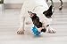 Mavel Ball Toy for Dogs Puppies - Top Cool Rubber Dog Chew Toy - Best for Aggressive Chewers- Small Medium Large Dogs Breeds.