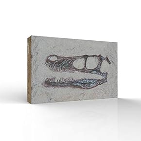 Canvas Wall Art - Animal Fossil Office Poster Prints - Modern Home Art Stretched and Framed Ready to Hang - 12x18 inches