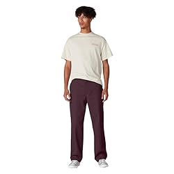 Dickies Men's Skateboarding Regular Fit Twill