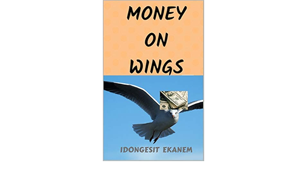 money bolsa with wings