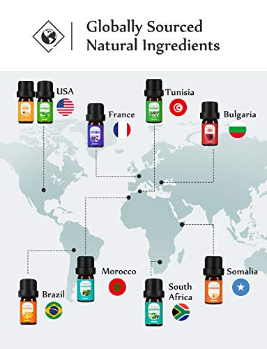 Diffuser with Essential Oils Included, 500ml Aromatherapy Diffuser with Essential Oil Set 6x10mL, Super Quiet Essential… - Image 6