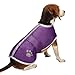 Zack & Zoey Nor'easter Blanket Coat for Dogs, 20