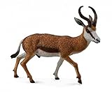 CollectA Wildlife Springbok Toy Figure - Authentic Hand Painted Model