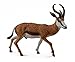 CollectA Wildlife Springbok Toy Figure - Authentic Hand Painted Model
