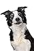 Equisilver Wound Spray for Dogs, Cats & Birds | Safe & Easy to Apply | Wounds, Scrapes, Dry Itchy Skin, Hot Spots & Skin Infections