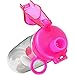 Great Gear Fruit Infuser Water Bottle 25 oz Leak Proof Flip-top Sport Water Bottle BPA-Free Tritan 25 Oz (Pink)