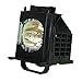 Generic 915B403001 Mitsubishi WD-60737 TV Lamp