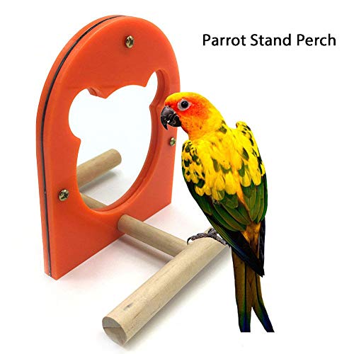Pet Bird Cage Acrylic Mirror Toy with Perch Wood Standing Bar Rack Playstand Toy for Macaws Lovebird Cockatoo Parakeet Finch Cockatiels