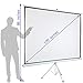 Projector Screen with Stand 100