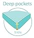 Where the Polka Dots Roam Twin Size Bed Sheets Transportation Print 3 Piece Set │ Unisex, Flexible Microfiber, Durable, Wrinkle-Resistant, Stain-Resistant Bedding │ Boys, Girls, Baby, Kids, Toddler