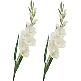 BQEE Long Stem Artificial Gladiolus Flower, Set of 2, Home/Wedding/Office Decor (White)