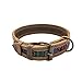 Rustic Mayan Dog Collar for Small Size Dog (10-13.5 Inches) Handmade by Hide & Drink :: Tropical Blue