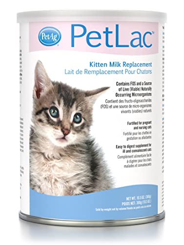 kitten replacement formula