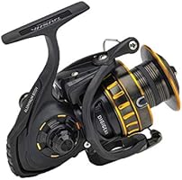 daiwa bg 5000 amazon