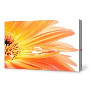 Canvas Wall Art for Living Room,Bedroom Home Artwork Paintings Orchid SPA Backgrounds Ready to Hang - 12x18 inches