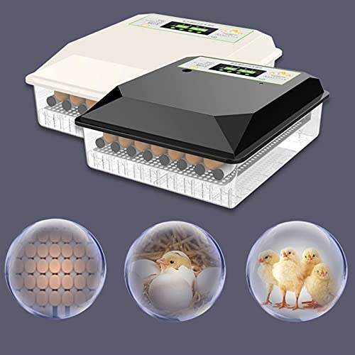 FHISD Brutmaschine für Hühnereier Brutmaschine für Hühnereier Brutmaschine für Hühnereier Automatische Brutmaschine für… – Bild 7