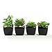 Nattol Modern Mini Artificial Succulent Plants Potted in Cube-Shape Black Ceramic Pots for Home Decor, Set of 4