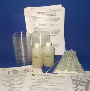 Petri Dishes with Agar and Swabs - Science Fair Project Kit