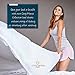Cosy House Collection Everyday 1500 Series Bed Sheet Set - Ultra Soft & Cool Hotel Bedding - Deep Pocket - Wrinkle, Stain and Fade Resistant - 4 Piece Set (Queen, White)