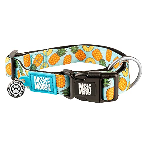Max & Molly Dog & Puppy Collar with Power Buckle, Fun Style for Small, Medium, Large Dogs & Puppies, Waterproof, Comfortable, Adjustable, Includes Gotcha QR Code Pet ID