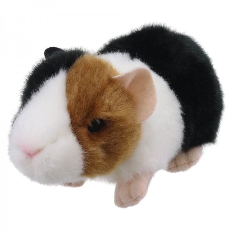 Wilberry - Mini Guinea Pig Soft toy - Soft Plush Stuffed Animal Toy with Lifelike Design for Imaginative Play and Gifting - 16cm
