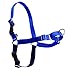 PetSafe Easy Walk No-Pull Dog Harness - The Ultimate Harness to Help Stop Pulling - Take Control & Teach Better Leash Manners - Helps Prevent Pets Pulling on Walks, Medium, Royal Blue/Navy Blue
