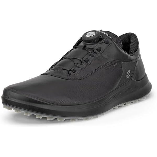 Amazon.com | ECCO Men's Biom C4 Boa Gore-tex Waterproof Golf