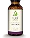 Holiday Sale! ECOCERT & USDA Certified Organic 100% Pure Castor Oil - HEXANE FREE - Promotes Healthy Hair, Nails & Skin - Moisturizes, Repairs and Rejuvenates - All Natural - 4 Oz. Bottle