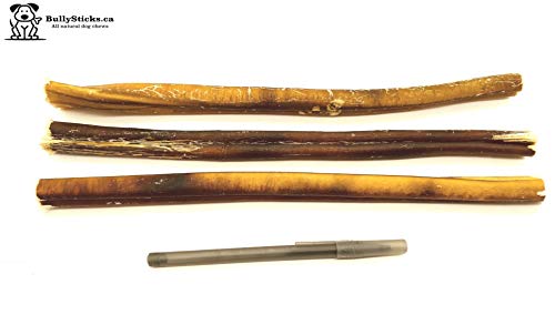 12" Jumbo Odour Free Bully Sticks for Dogs (6 Pack) Large Dog Dental Chew (335 g) - Rawhide Free - Chemical Free - Long Lasting - 100% Beef - No Additives